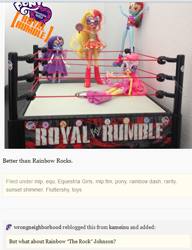 Size: 512x667 | Tagged: safe, imported from derpibooru, fluttershy, rainbow dash, rarity, sunset shimmer, equestria girls, rainbow rocks, doll, female, fight, irl, masked shimmer, photo, pun, royal rumble, toy, tumblr, wrestling, wwe