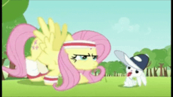 Size: 500x281 | Tagged: safe, imported from derpibooru, screencap, angel bunny, fluttershy, hurricane fluttershy, animated, coach, coach angel bunny, cropped, duo, hat, headband, sweatband, trainer, training, whistle