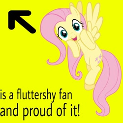 Size: 500x500 | Tagged: safe, imported from derpibooru, fluttershy, female, solo, text, yellow