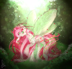 Size: 2100x2000 | Tagged: safe, artist:saoiirse, imported from derpibooru, roseluck, fae, faerie, female, forest, rose, solo