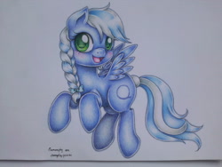 Size: 2048x1536 | Tagged: safe, artist:evomanaphy, imported from derpibooru, oc, oc only, pegasus, pony, solo