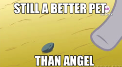 Size: 767x424 | Tagged: safe, imported from derpibooru, screencap, angel bunny, boulder (pet), maud pie (episode), boulder (g4), image macro, meme, still a better x than y