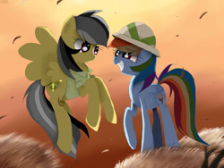 Size: 1024x768 | Tagged: dead source, safe, artist:misspolycysticovary, imported from derpibooru, daring do, rainbow dash, accessory swap, daringdash, female, grin, hat, lesbian, shipping