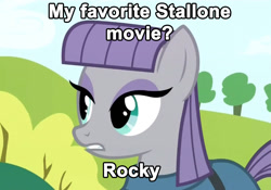 Size: 890x624 | Tagged: safe, imported from derpibooru, maud pie, maud pie (episode), exploitable meme, female, image macro, meme, rock, rock pun, rocky (movie), rocky balboa, solo, sylvester stallone, that pony sure does love rocks