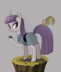 Size: 1501x1789 | Tagged: safe, artist:twitchykismet, imported from derpibooru, boulder (pet), gummy, maud pie, maud pie (episode), boulder (g4), dirt cube, looking back, rock