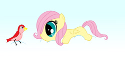 Size: 1245x641 | Tagged: dead source, safe, artist:sawsta, imported from derpibooru, fluttershy, bird, female, solo