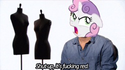 Size: 500x280 | Tagged: safe, imported from derpibooru, sweetie belle, for whom the sweetie belle toils, project runway, vulgar