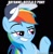 Size: 500x515 | Tagged: safe, imported from derpibooru, rainbow dash, oc, oc only, oc:aryanne, pegasus, pony, flight to the finish, baseball cap, cap, caption, female, hat, implied nazi, jontron thread, meme, nazi, op is trying to start shit, opinion, smugdash, solo