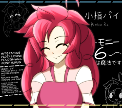 Size: 2828x2500 | Tagged: safe, artist:misterbrony, imported from derpibooru, pinkie pie, human, female, humanized, japanese, profile, profile info, solo