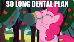 Size: 883x497 | Tagged: safe, imported from derpibooru, pinkie pie, pony, cider, dental plan, drinking, female, image macro, meme, solo, the simpsons