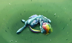 Size: 3965x2405 | Tagged: safe, artist:sharpieboss, imported from derpibooru, rainbow dash, eyes closed, female, grass, ouroboros, prone, sleeping, solo, tail bite, underhoof