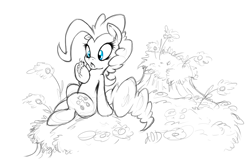 Size: 8614x5735 | Tagged: safe, artist:dfectivedvice, imported from derpibooru, pinkie pie, insect, absurd resolution, black and white, female, grayscale, monochrome, neo noir, partial color, sitting, sketch, solo, traditional art, wip