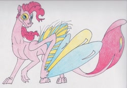 Size: 827x573 | Tagged: safe, artist:featherysketchdragon, imported from derpibooru, pinkie pie, dragon, dragonified, female, gray background, pinkiedragon, simple background, solo, species swap, traditional art