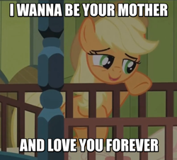 Size: 606x549 | Tagged: safe, imported from derpibooru, screencap, applejack, fanfic:pattycakes, somepony to watch over me, female, image macro, meme, quote, solo