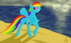 Size: 1200x728 | Tagged: safe, artist:kharmatika, imported from derpibooru, rainbow dash, beach, female, solo
