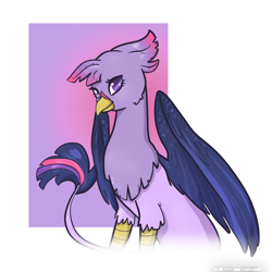 Size: 900x900 | Tagged: safe, artist:otterlore, imported from derpibooru, twilight sparkle, griffon, female, griffonized, my little griffon, simple background, solo, species swap, white background