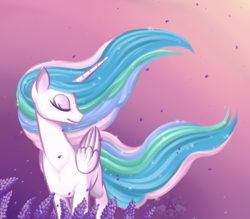 Size: 800x700 | Tagged: safe, artist:floofurr, imported from derpibooru, princess celestia, alicorn, pony, eyes closed, female, flower, gradient background, mare, solo, speedwell, windswept mane