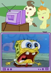 Size: 562x800 | Tagged: safe, imported from derpibooru, pound cake, pumpkin cake, exploitable meme, meme, obligatory pony, op is a duck, sbsp hater, spongebob squarepants, spongebob squarepants (character), tv meme