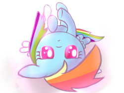 Size: 1600x1200 | Tagged: safe, artist:heavymetalbronyyeah, imported from derpibooru, rainbow dash, pegasus, pony, cute, female, looking at you, mare, on back, simple background, solo, white background