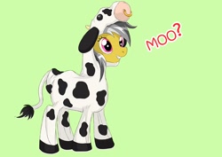 Size: 800x566 | Tagged: safe, artist:muramasa, imported from derpibooru, daring do, cow, clothes, costume, daring moo, female, solo