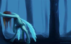Size: 4279x2684 | Tagged: safe, artist:sharpieboss, imported from derpibooru, rainbow dash, pegasus, pony, belly button, bipedal, depression, female, forest, mare, night, sad, solo, wet, wet mane
