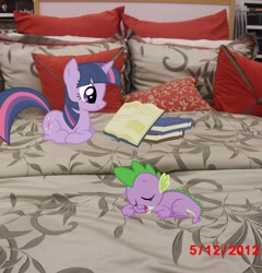 Size: 1372x1430 | Tagged: safe, artist:scrimpeh, artist:theflutterknight, artist:tokkazutara1164, imported from derpibooru, spike, twilight sparkle, bed, book, irl, photo, pillow, ponies in real life, reading, sleeping, vector