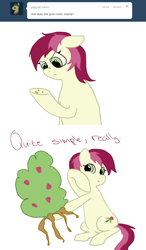 Size: 750x1280 | Tagged: safe, imported from derpibooru, roseluck, ask, comic, female, rosereplies, solo, tumblr