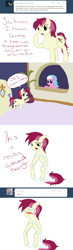 Size: 750x2560 | Tagged: safe, imported from derpibooru, aloe, roseluck, ask, comic, rosereplies, tumblr