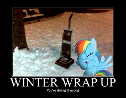 Size: 500x387 | Tagged: safe, imported from derpibooru, rainbow dash, winter wrap up, demotivational poster, facehoof, fail, funny, image macro, irl, meme, solo, vacuum cleaner, you're doing it wrong