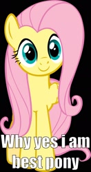 Size: 900x1709 | Tagged: safe, imported from derpibooru, fluttershy, best pony, female, image macro, meme, out of character, solo