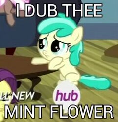 Size: 244x253 | Tagged: safe, imported from derpibooru, screencap, banana peel (character), banana peel (g4), brown sugar, mint flower, pony, for whom the sweetie belle toils, 5-year-old, female, filly, hub logo, i dub thee, image macro, meme, naming, solo, younger