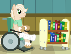 Size: 640x480 | Tagged: safe, artist:aha-mccoy, imported from derpibooru, oc, oc only, oc:jay aaron mclovin, earth pony, pony, bookshelf, cast, handicapped, hospital gown, male, solo, stallion, wheelchair