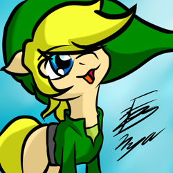 Size: 2000x2000 | Tagged: safe, artist:helenanyadepie, imported from derpibooru, crossover, link, solo, the legend of zelda, the legend of zelda: the wind waker