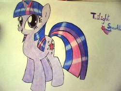 Size: 800x600 | Tagged: safe, artist:happypinkiem, imported from derpibooru, twilight sparkle, female, solo