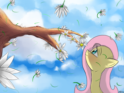 Size: 800x600 | Tagged: safe, artist:misspolycysticovary, imported from derpibooru, fluttershy, female, solo