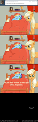 Size: 633x1996 | Tagged: safe, artist:ratofdrawn, imported from derpibooru, applejack, rainbow dash, ask appledash, appledash, ask, comic, female, lesbian, shipping, tumblr