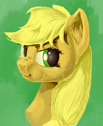 Size: 700x854 | Tagged: safe, artist:rallerae, imported from derpibooru, applejack, female, portrait, solo