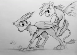 Size: 1023x731 | Tagged: safe, artist:pajaga, imported from derpibooru, gilda, rainbow dash, griffon, monochrome, traditional art