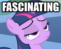 Size: 400x324 | Tagged: safe, imported from derpibooru, twilight sparkle, bored, fascinating, female, filly, filly twilight sparkle, meme, reaction image, sarcasm, solo, text