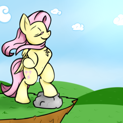 Size: 1500x1500 | Tagged: safe, artist:ramott, imported from derpibooru, fluttershy, pony, belly button, bipedal, chest fluff, female, solo