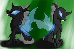 Size: 1024x683 | Tagged: safe, artist:theandymac, imported from derpibooru, oc, oc only, oc:evening breeze, oc:rising sun, changeling, back to back, blue changeling, changeling oc