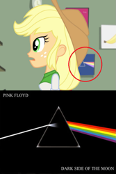 Size: 593x890 | Tagged: safe, imported from derpibooru, screencap, applejack, a case for the bass, equestria girls, rainbow rocks, album cover, andy warhol, hipgnosis, pink floyd, the dark side of the moon, the velvet underground, the velvet underground & nico, wilco