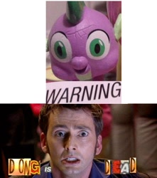 Size: 636x720 | Tagged: safe, edit, imported from derpibooru, spike, david tennant, derp, doctor who, expand dong, exploitable meme, faic, meme, rapeface, tenth doctor, warning, wat, why