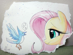 Size: 1200x900 | Tagged: safe, artist:prettypinkpony, imported from derpibooru, fluttershy, bird, pegasus, pony, bust, female, head, long eyelashes, solo, traditional art