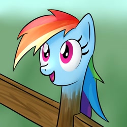 Size: 680x680 | Tagged: artist needed, source needed, safe, artist:cuizhu, imported from derpibooru, rainbow dash, day, female, fence, head, looking up, not salmon, open mouth, post, smiling, solo, wat, what has science done