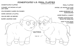 Size: 1440x900 | Tagged: safe, artist:fluffbuff, imported from derpibooru, fluffy pony, comparison, domestic, feral fluffy pony, monochrome, vulgar