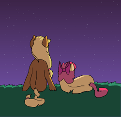 Size: 808x778 | Tagged: safe, artist:ponyboogers, imported from derpibooru, apple bloom, applejack, night, stargazing