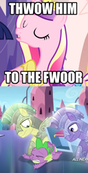 Size: 737x1436 | Tagged: safe, edit, edited screencap, imported from derpibooru, screencap, amethyst stone, princess cadance, spike, alicorn, crystal pony, dragon, pony, equestria games (episode), games ponies play, abuse, armor, crystal guard, crystal guard armor, image macro, impact font, lisp, male, meme, monty python, monty python's life of brian, spikeabuse, stallion