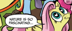 Size: 389x170 | Tagged: safe, edit, idw, imported from derpibooru, fluttershy, pegasus, pony, spoiler:comic, crossing the memes, exploitable meme, female, mare, meme, nature is so fascinating, obligatory pony