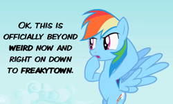 Size: 500x300 | Tagged: safe, edit, edited screencap, imported from derpibooru, screencap, rainbow dash, may the best pet win, caption, female, quote, reaction image, solo, text